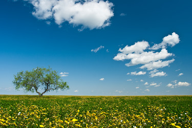 Similar image 1436511