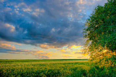 Similar image 1436524