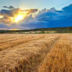 Similar image 1436531