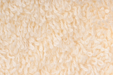 Similar image 1436542