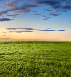 Similar image 1436544