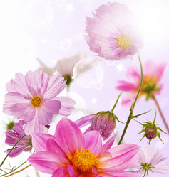 Similar image 1436546