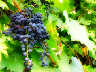 Similar image 1436565