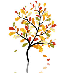 Similar image 1436571