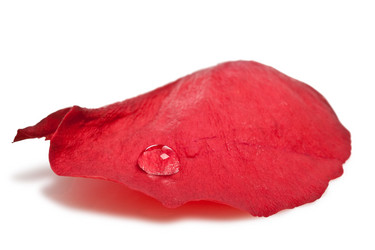 Similar image 1436617