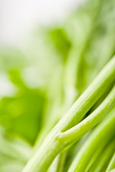 Similar image 1436702