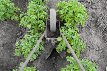 Similar image 1436705