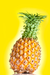 Similar image 1436737