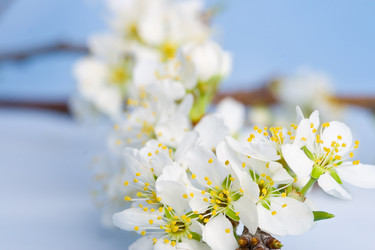 Similar image 1436745