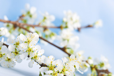 Similar image 1436748