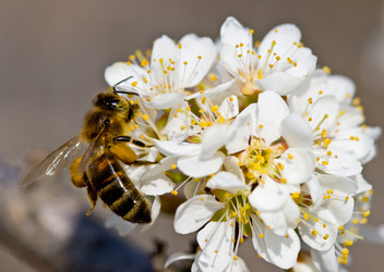 Similar image 1436749