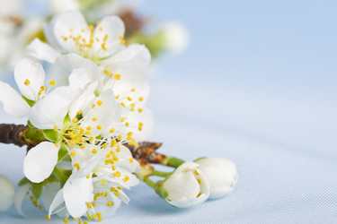 Similar image 1436750