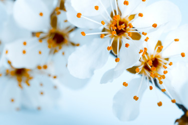 Similar image 1436751