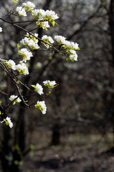 Similar image 1436752