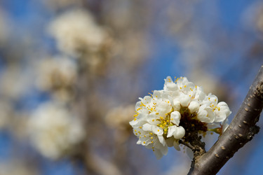 Similar image 1436753