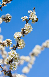 Similar image 1436763