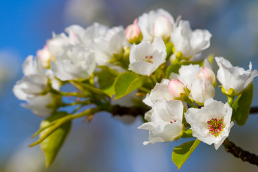 Similar image 1436776