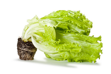 Similar image 1436792