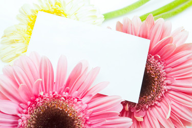 Similar image 1436832