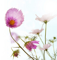 Similar image 1436844