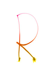 Similar image 1436850