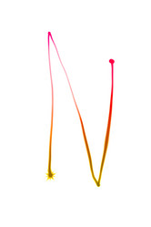 Similar image 1436862