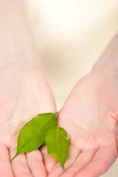 Similar image 1436918