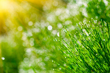 Similar image 1436937