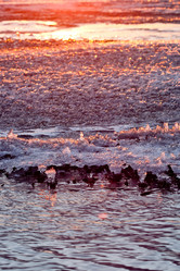 Similar image 1436971