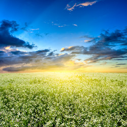 Similar image 1436991