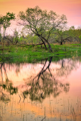 Similar image 1437019