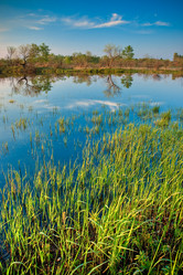 Similar image 1437021