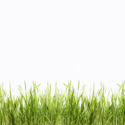 Similar image 1437070