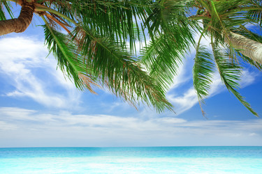 Similar image 1437104