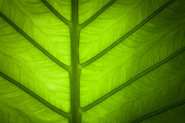 Similar image 1437106