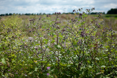 Similar image 1437157