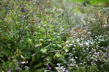 Similar image 1437171