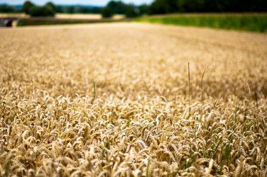 Similar image 1437172