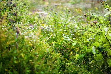 Similar image 1437175