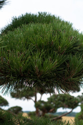 Similar image 1437182