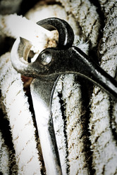 Similar image 1437202