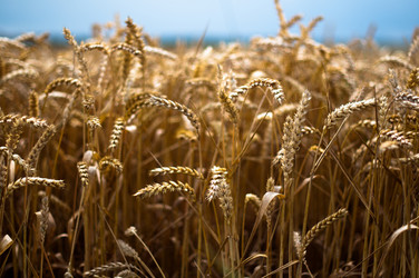 Similar image 1437216