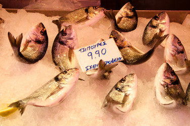 Similar image 1437229