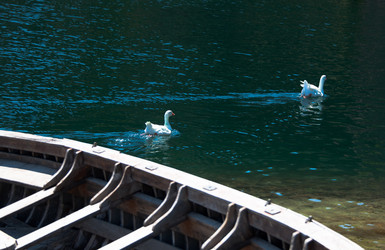 Similar image 1437233