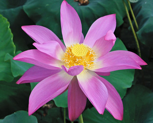 Similar image 1437241