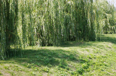 Similar image 1437252