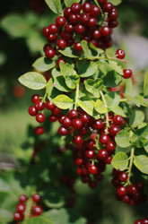 Similar image 1437293