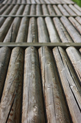 Similar image 1437294