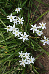 Similar image 1437296