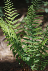 Similar image 1437297